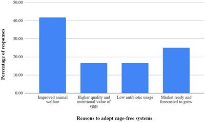 The cage-free egg sector: perspectives of Indian poultry producers